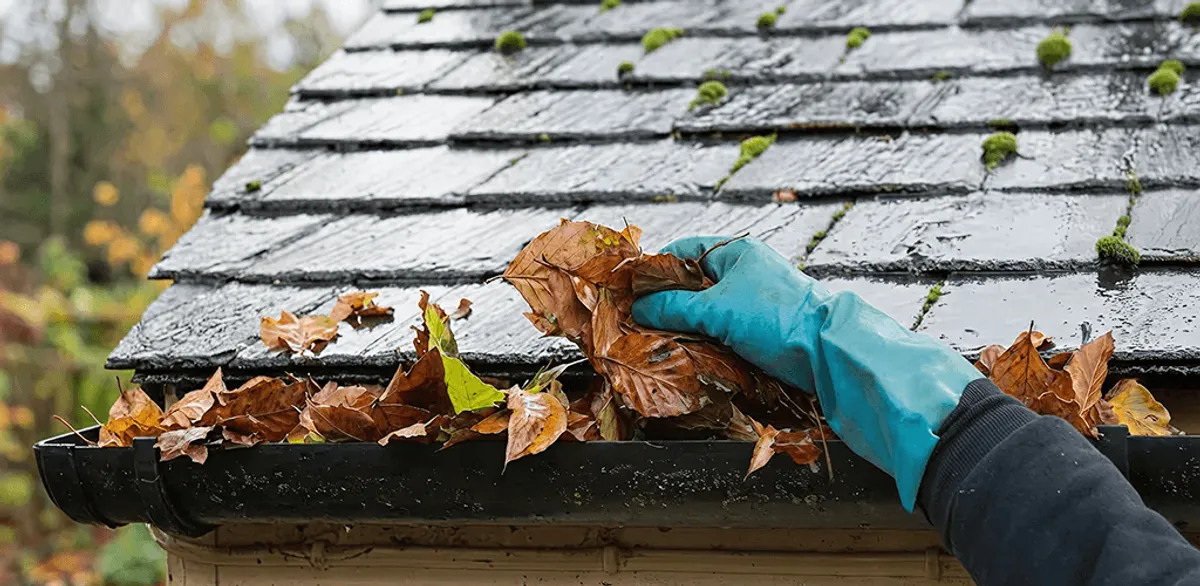 Gutter cleaning technician clearing wet leaves from roof gutters in Columbia, MO